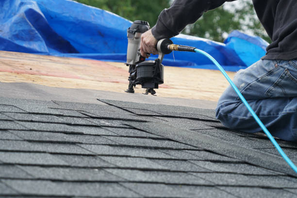 Best Roof Gutter Cleaning  in Champaign, IL