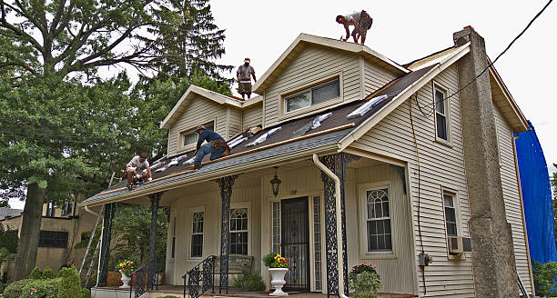 Best Affordable Roofing Company  in Champaign, IL