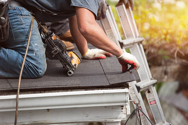 Best Slate Roofing Contractor  in Champaign, IL